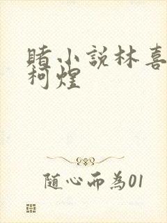 赌小说林喜朝和柯煜封面