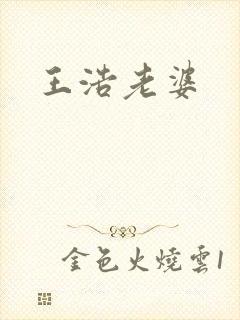王浩老婆