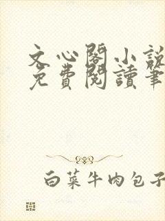 文心阁小说全文免费阅读笔趣阁