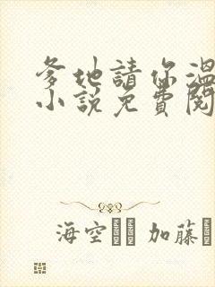 爹地请你温柔点小说免费阅读