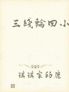三线轮回小说封面