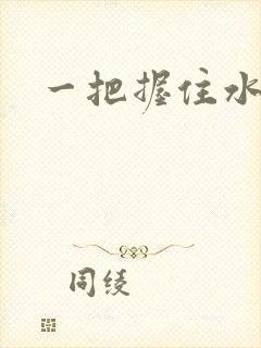 一把握住水蜜桃封面