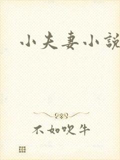 小夫妻小说封面