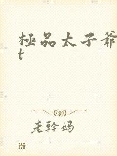极品太子爷txt封面