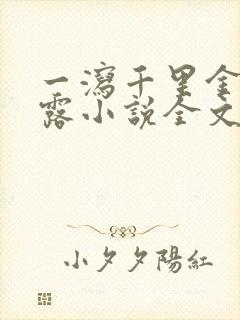 一泻千里金银花露小说全文免费阅读