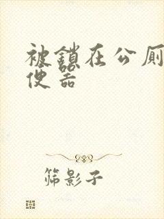 被锁在公厕当坐便器