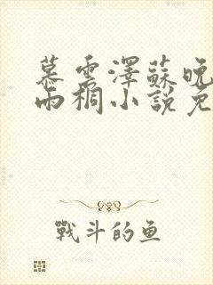 慕云泽苏晚晴夏雨桐小说免费阅读