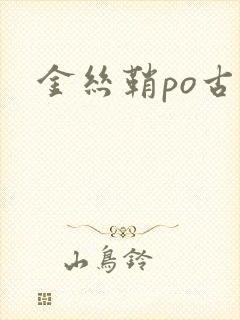 金丝鞘po古言