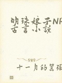 明珠娘子NPC古言小说