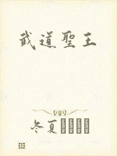 武道圣王