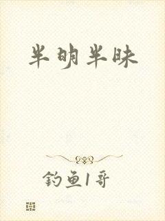 半明半昧