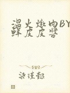 温火炖肉BY海鲜皮皮酱