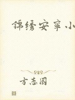 锦绣安宁小说封面