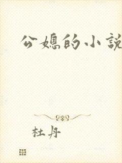 公媳的小说