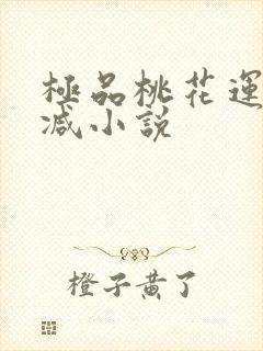 极品桃花运未删减小说