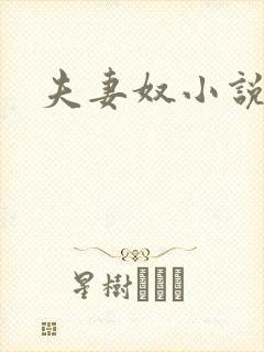 夫妻奴小说