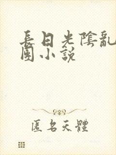长日光阴乱作一团小说