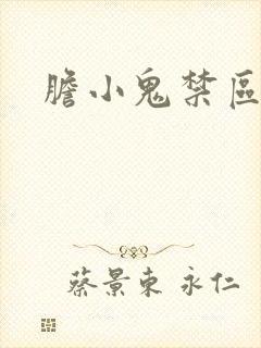 胆小鬼禁区封面