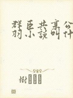 群臣共享公主银羽小说叫什么