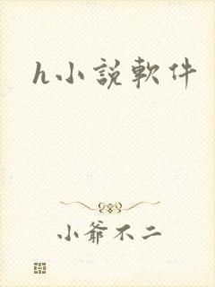 h小说软件