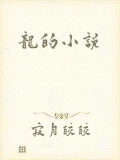 龙的小说封面