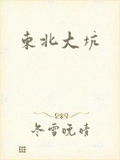 东北大坑