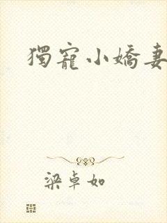 独宠小娇妻