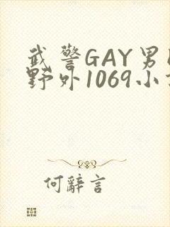 武警GAY男同野外1069小说封面