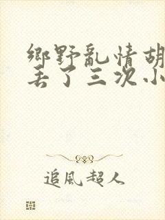乡野乱情胡秀英丢了三次小说封面