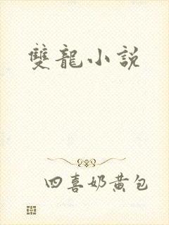 双龙小说