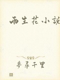 两生花小说封面