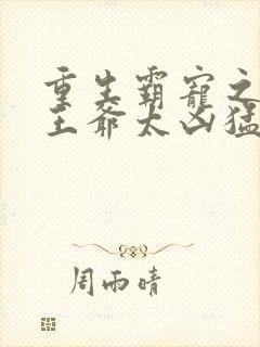 重生霸宠之摄政王爷太凶猛