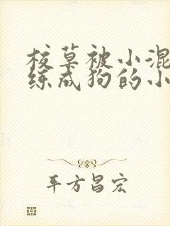 校草被小混混训练成狗的小说封面