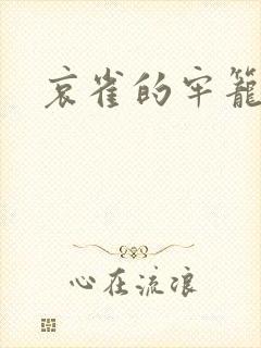 哀雀的牢笼