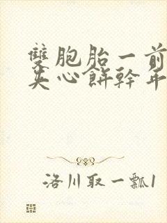 双胞胎一前一后夹心饼干年下