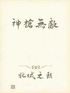 神枪无敌封面