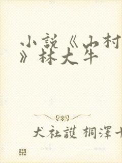 小说《山村情事》林大牛