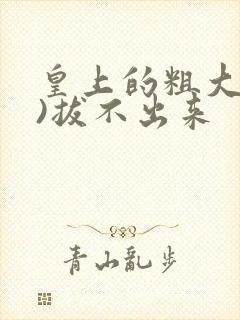 皇上的粗大(h)拔不出来