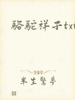 骆驼祥子txt封面