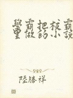 学霸把校霸往死里做的小说封面