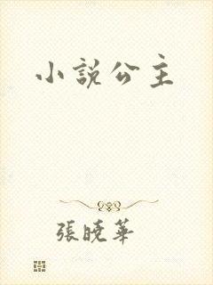 小说公主封面