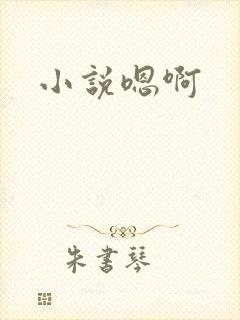 小说嗯啊封面