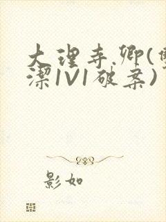 大理寺.卿(双洁1V1破案)封面