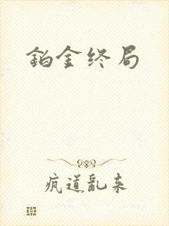铂金终局