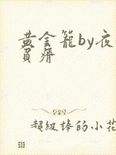 黄金笼by夜很贫瘠