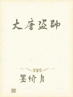 大唐盗帅封面