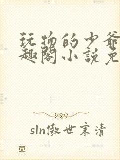 玩物的少爷们笔趣阁小说免费阅读