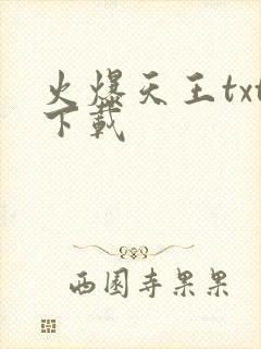 火爆天王txt下载