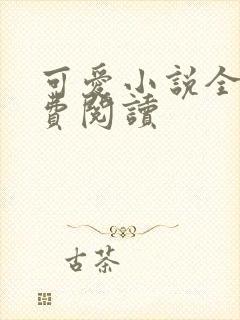 可爱小说全文免费阅读