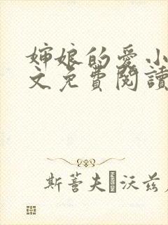 婶娘的爱小说全文免费阅读